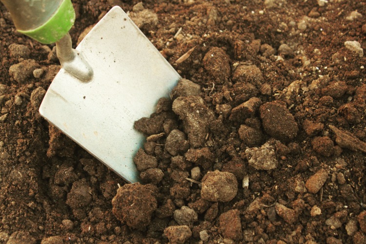How to amend garden soil